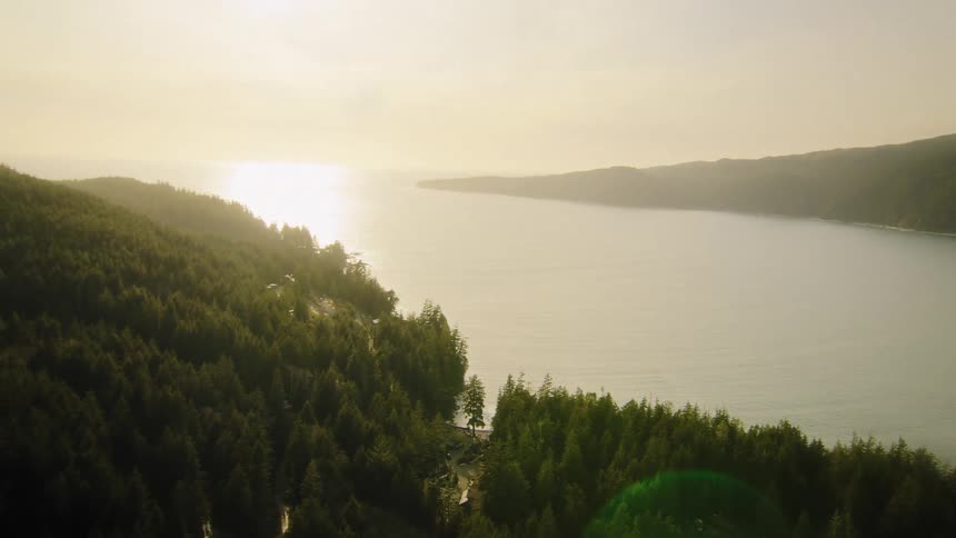Stunning aerial shot moving over a dense evergreen forest along a vast ocean inlet at golden hour