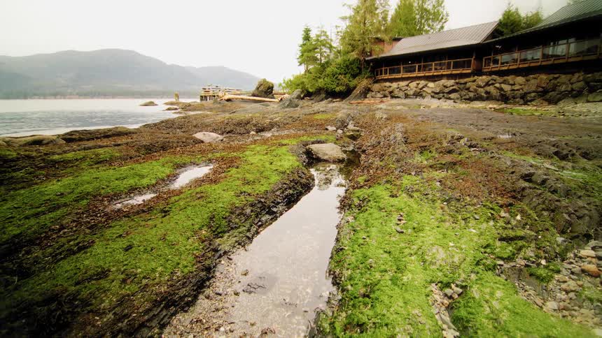 A slow upward pan over a mossy, rocky coastline reveals a serene waterfront lodge and distant misty mountains