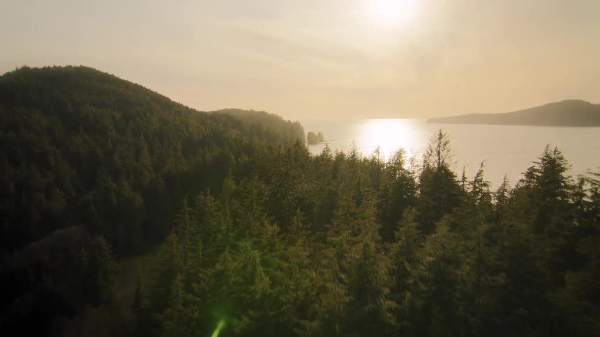 A majestic aerial shot pulls back over a dense evergreen forest to reveal a stunning ocean coastline at golden hour
