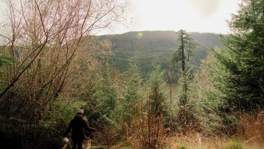 A woman in a beanie slowly walks down a trail into a dense mountain forest in slow motion