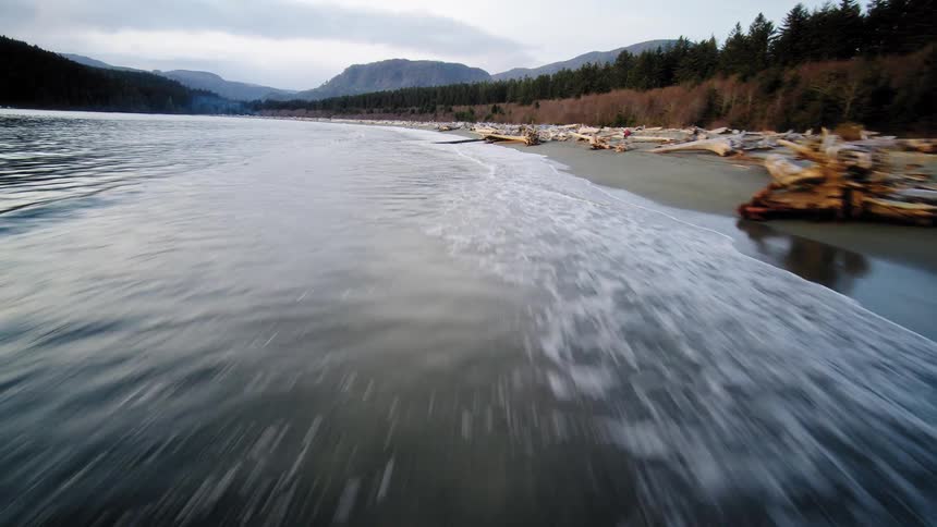 A thrilling low-angle aerial view speeds along the tide line of a moody, overcast beach littered with driftwood