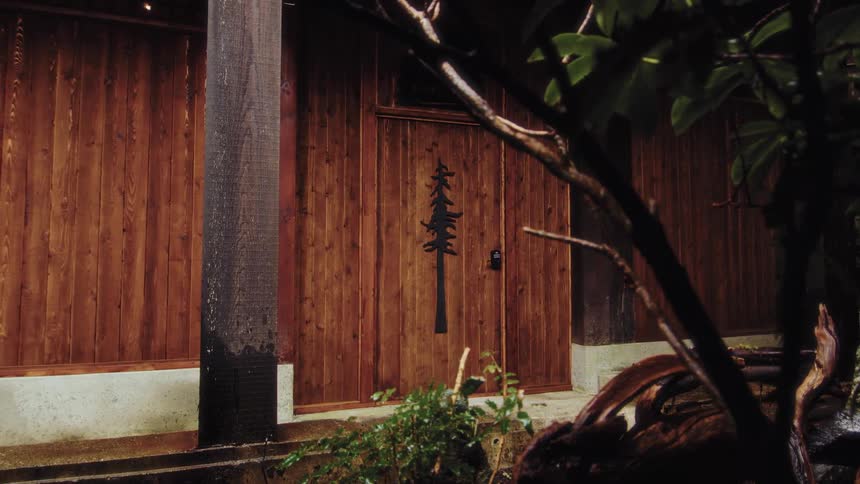 A slow reveal of a rustic wooden building with a stylized tree on the door, viewed through wet foliage on a rainy day