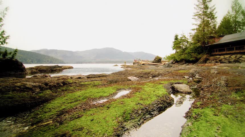 A pan across a vibrant green, moss-covered shoreline reveals a secluded coastal lodge nestled against a tranquil bay and distant mountains