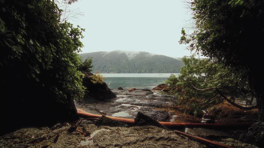 A tranquil view from a lush, rocky shoreline reveals a calm lake and a distant, mist-shrouded mountain