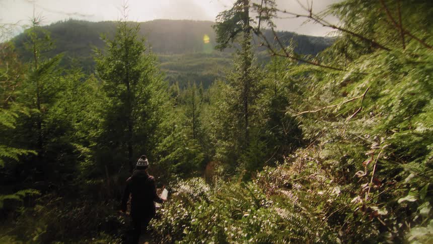 Following a hiker down a narrow trail through a dense evergreen forest reveals a breathtaking, sunlit mountain landscape