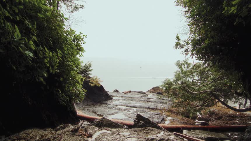 Looking out from a rocky forest cove onto a misty ocean as a boat passes in the distance on a rainy day
