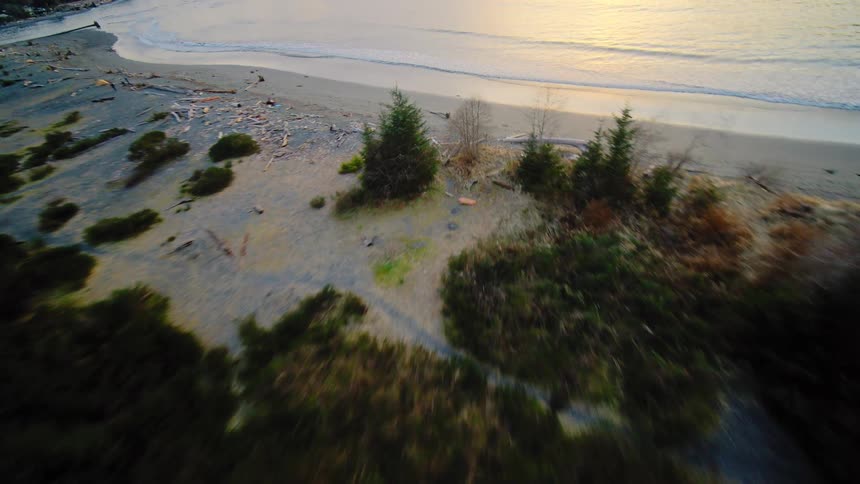 A thrilling aerial flight over a coastal forest and sandy beach reveals a spectacular ocean sunset