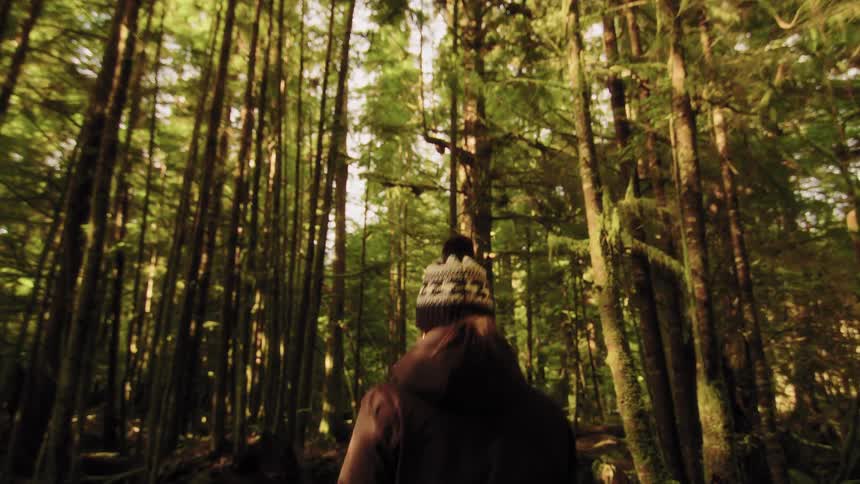 Following from behind as a woman in a winter beanie walks along a sun-dappled trail through a tall, mossy forest