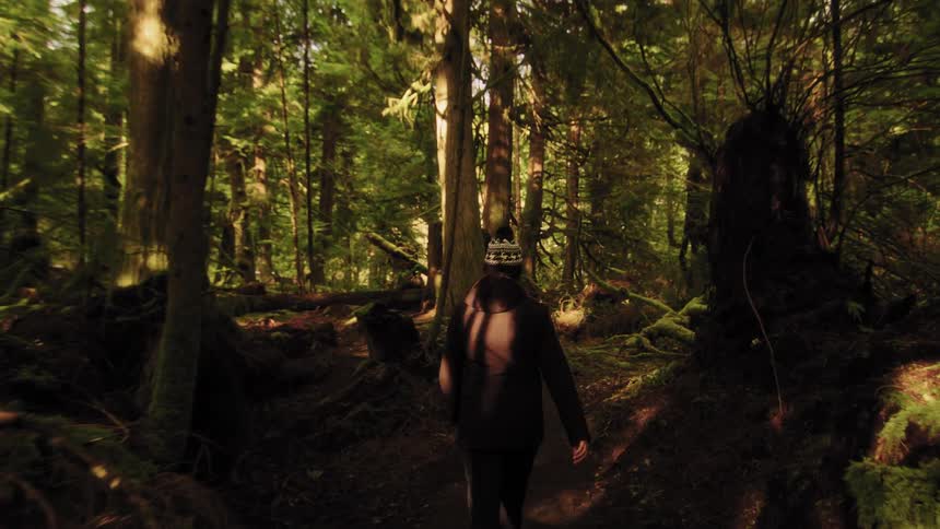 Slow-motion view from behind of a person in a winter hat walking along a scenic trail in a lush, mossy forest