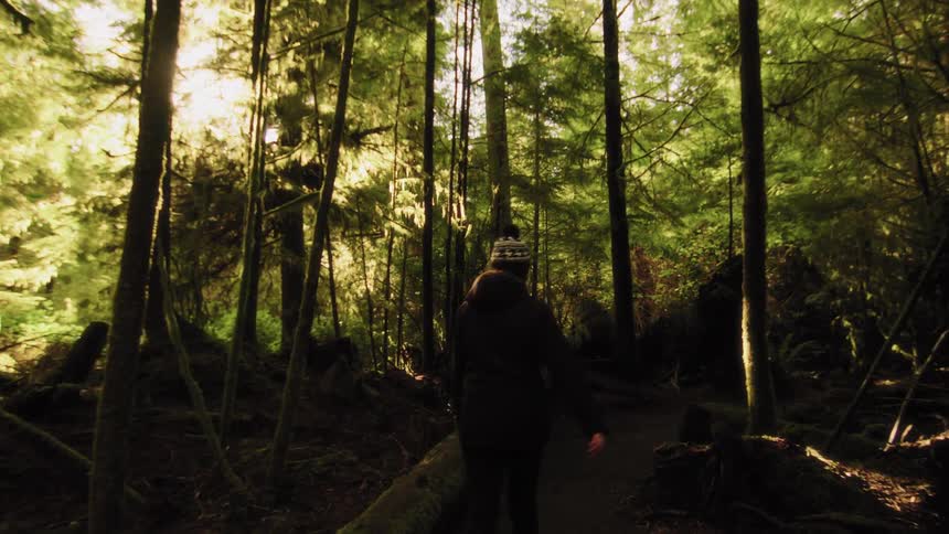 A woman in a winter hat walks in slow motion along a sun-dappled trail through a lush, temperate rainforest