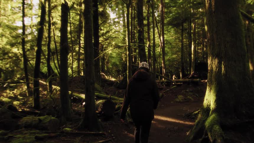 Slow-motion tracking shot follows a person in a winter hat hiking on a trail through a lush, sunlit, and mossy green forest