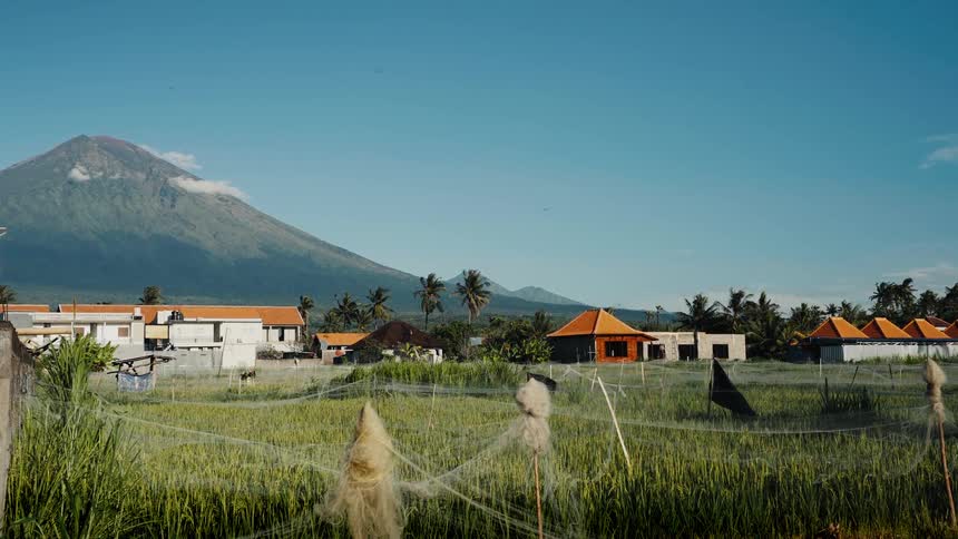 A scenic wide shot of a lush green rice paddy in a Balinese village with the majestic Mount Agung volcano in the background