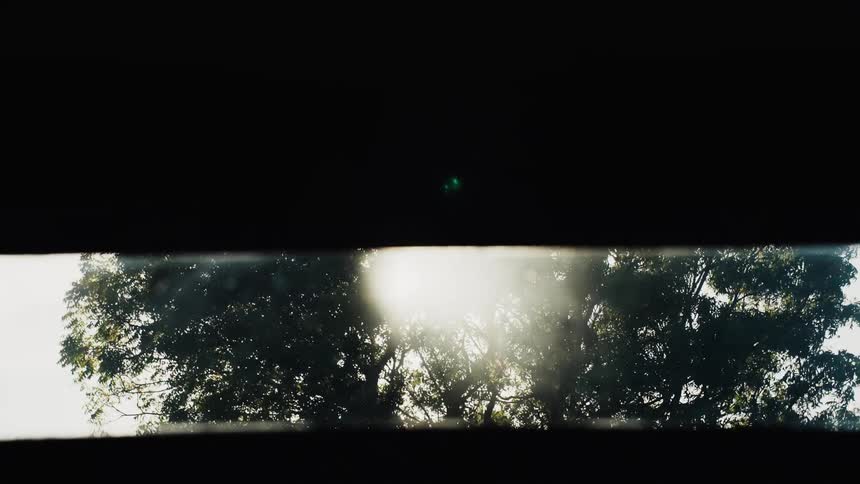 A narrow view of a sunlit tree is slowly obscured by steam and condensation, creating an abstract and blurry image