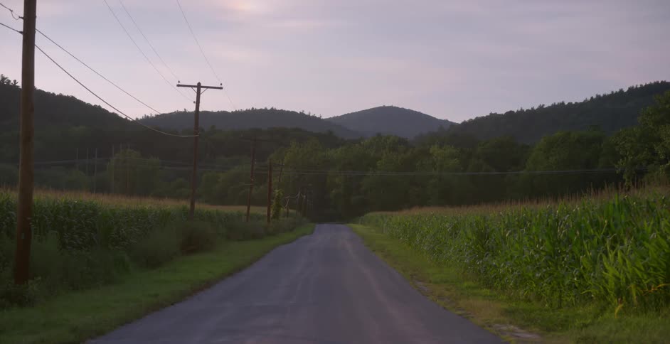The empty road is surrounded by tall grass