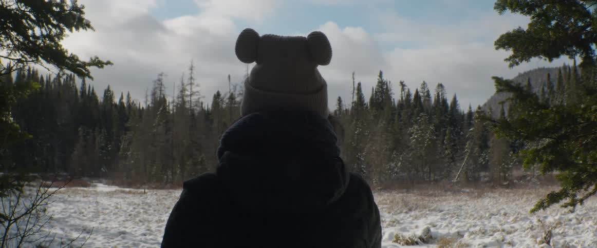 A person wearing a cozy winter hat with ears stands still and looks out over a snowy forest landscape
