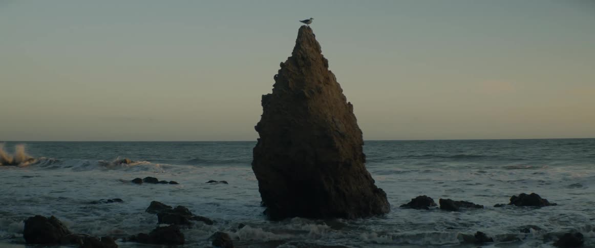 A seagull peacefully rests on top of a large rock formation in the sea as gentle waves roll in at dusk
