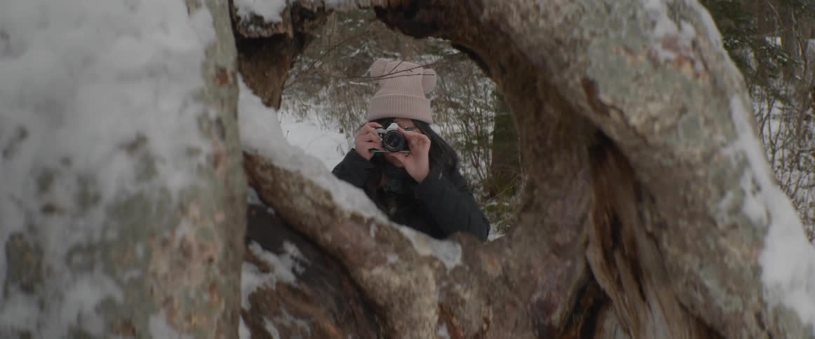 Framed by a hole in a gnarled, snow-dusted tree, a person in a winter beanie takes a photograph with a camera