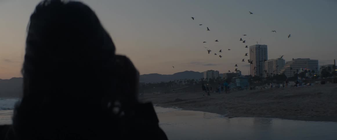 A silhouetted person takes a photo of birds flying over a city beach at dusk in slow motion
