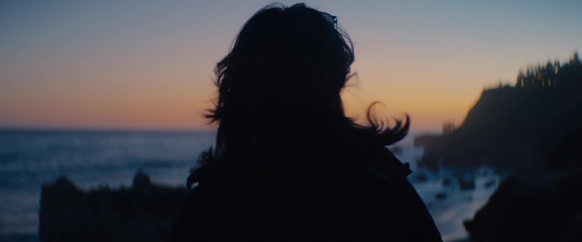 Silhouette of a person's hair blowing in the wind as they watch the sunset over the ocean
