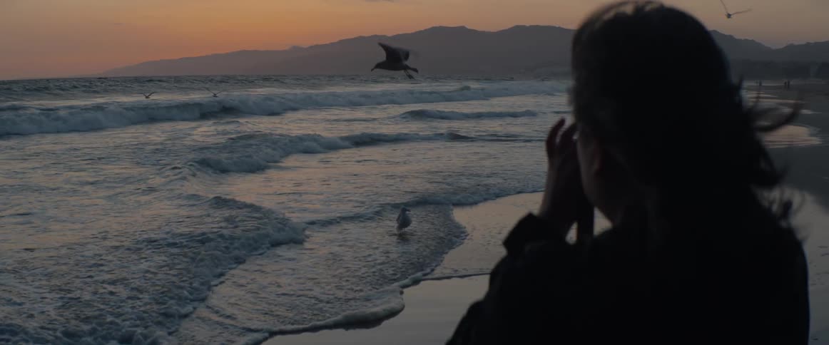 A silhouetted photographer captures a seagull in flight over the ocean waves at sunset in slow motion