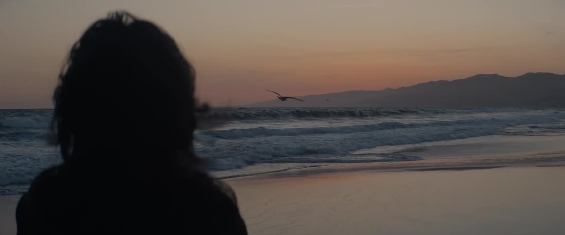 A lone figure watches the waves crash on the shore at dusk as a seagull gracefully flies by in slow motion