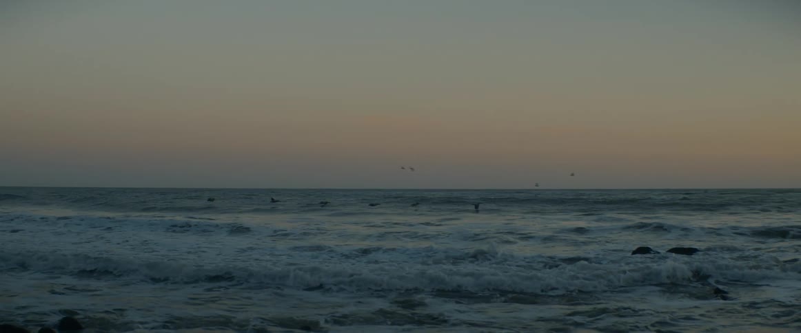A flock of seabirds flies in formation just above the rolling ocean waves during a serene sunset