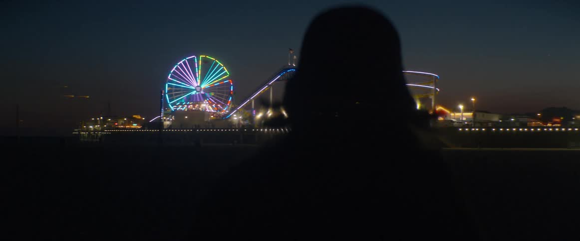A silhouetted person on a dark beach watches the brightly lit ferris wheel and roller coaster of an amusement park on a pier at night