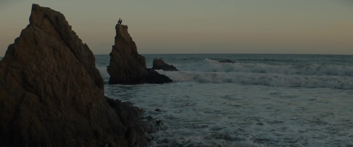 Two birds sit perched on a jagged rock formation as powerful ocean waves crash ashore in slow motion during a beautiful sunset