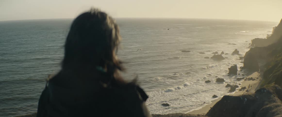 A contemplative over-the-shoulder view shows a person watching the tranquil ocean waves crash on the shore as seagulls fly by