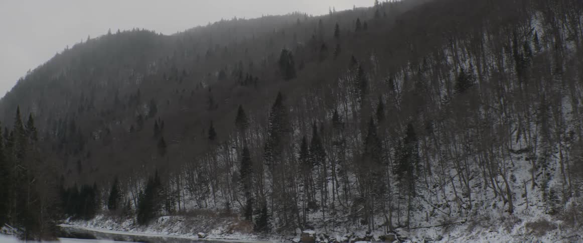 Steam rises from a partially frozen river at the base of a snowy, forested mountainside on a bleak winter day