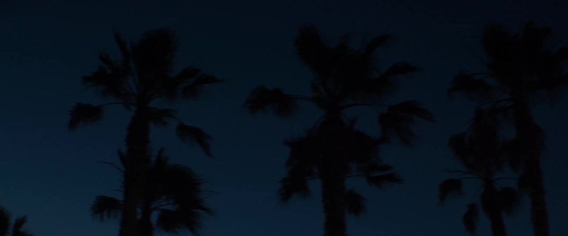 Silhouettes of tall palm trees against a deep blue sky during twilight as the camera slowly pans across