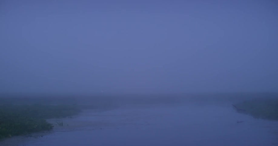 View of a lake on a foggy day