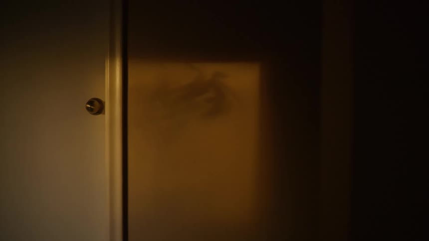 A plant shadow gently sways in a warm patch of light on a wall in a dark, mysterious room