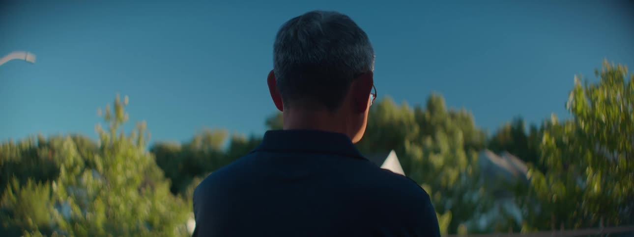Rear view of a man with graying hair peacefully looking out at a lush green landscape under a clear blue sky at dusk