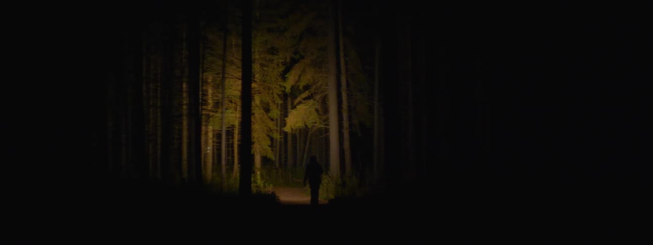 A mysterious hooded figure slowly walks along a dark path through a spooky forest, illuminated only by a flashlight