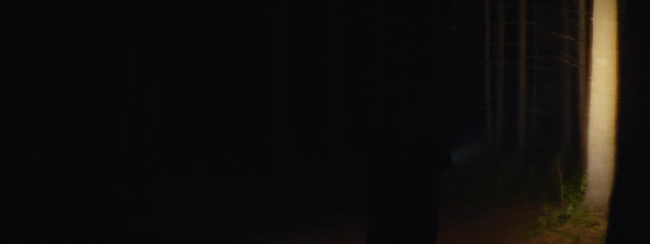 A mysterious hooded figure uses a flashlight to navigate a dark forest at night
