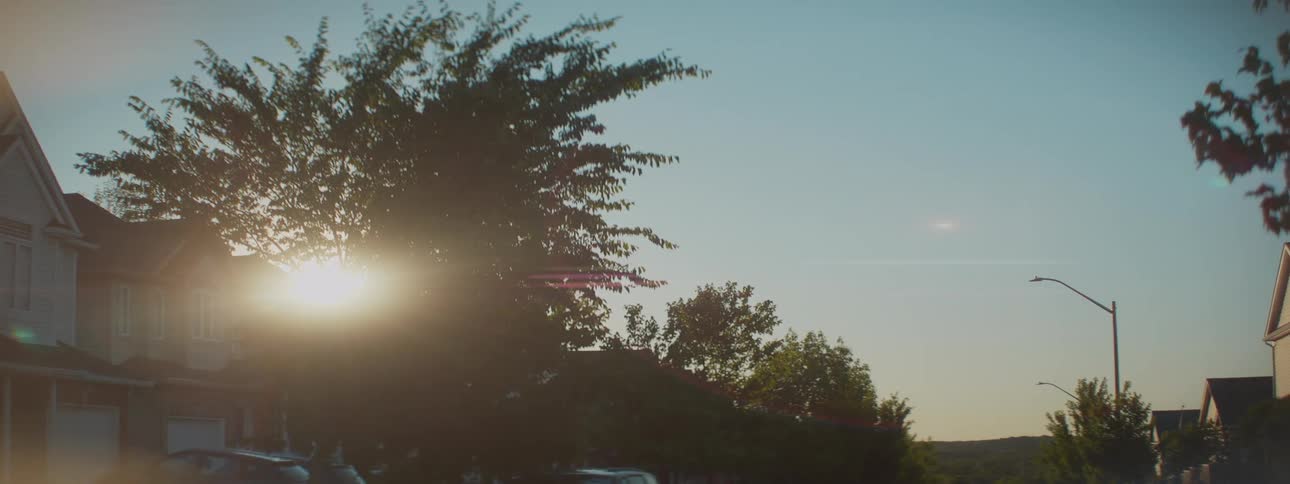 The sun sets behind a large tree in a quiet suburban neighborhood, casting a warm glow and creating a lens flare against a clear sky