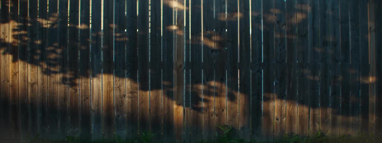 Golden hour light casts gentle shadows of leaves onto a wooden backyard fence