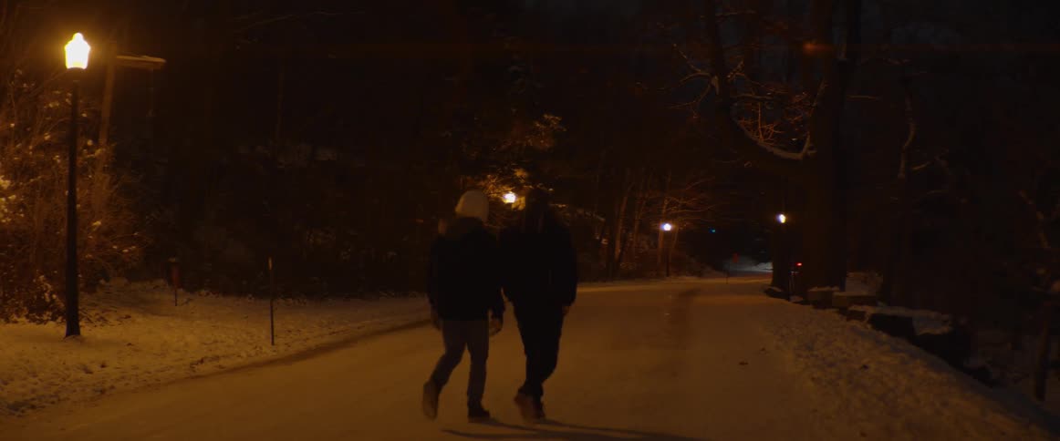 Two friends walk down a snow-covered path at night, illuminated by the warm glow of street lamps in slow motion