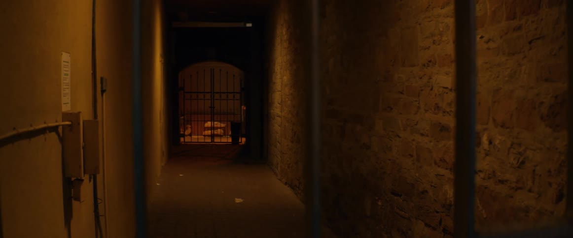 A slow zoom out from behind bars reveals a dark, narrow brick alleyway leading to a locked gate at night