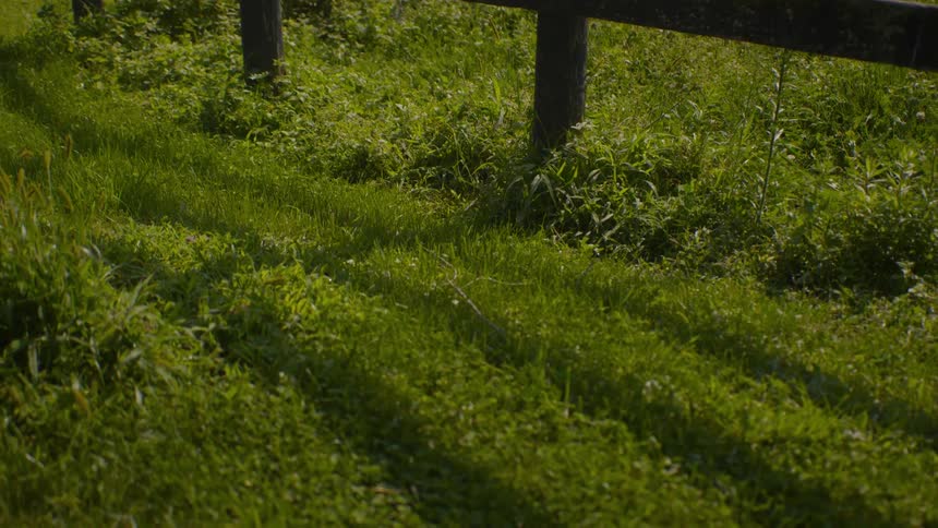 A slow pull-back shot reveals tire tracks in the tall green grass beside a rustic wooden fence