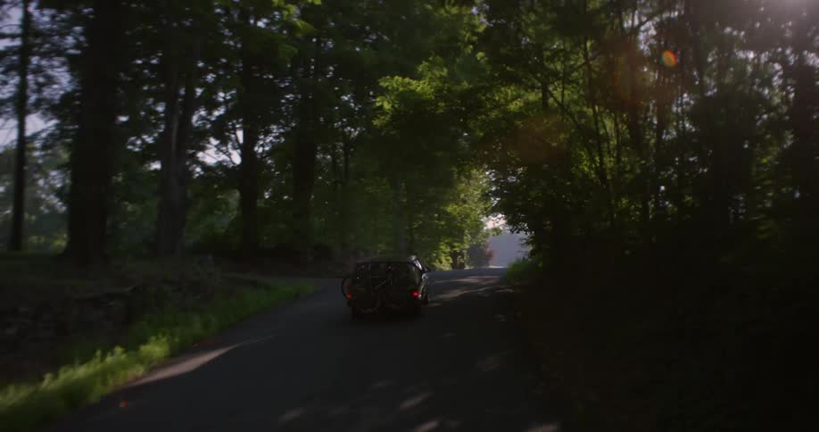 Car driving down a tree lined road