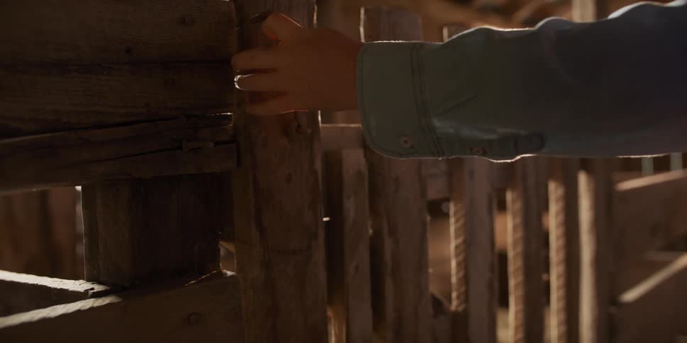 Sunlight streams through the wooden slats of a barn as a hand unlatches and opens the gate in slow motion