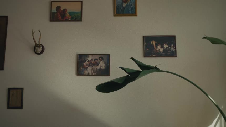 A calm, static shot of a sunlit wall adorned with vintage paintings, antlers, and a houseplant