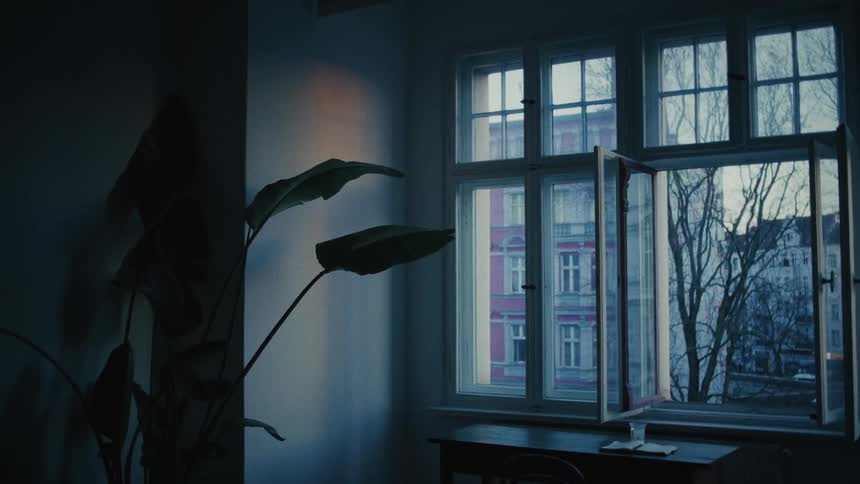 A quiet, dark room with a houseplant features an open window looking out onto a city street on an overcast day