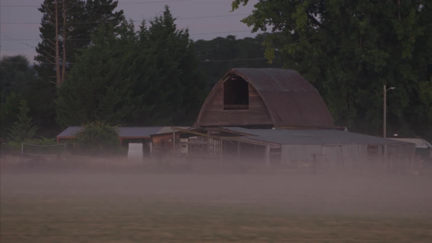 An old, weathered barn is partially obscured by a thick layer of fog rolling across a rural field at dawn