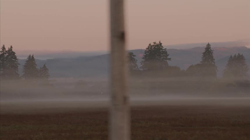 A slow pan reveals a serene, foggy landscape with a tree-lined field and distant mountains at dawn