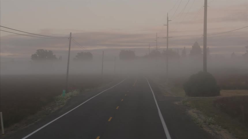 A slow aerial dolly shot travels down a foggy rural road at dawn, lined with power poles and fields