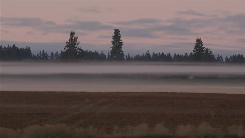 Slow zoom shot of a misty rural landscape at sunrise, with fog covering a field and a forest in the distance