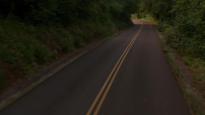 Following the serene curves of a winding paved road through a lush, green forest